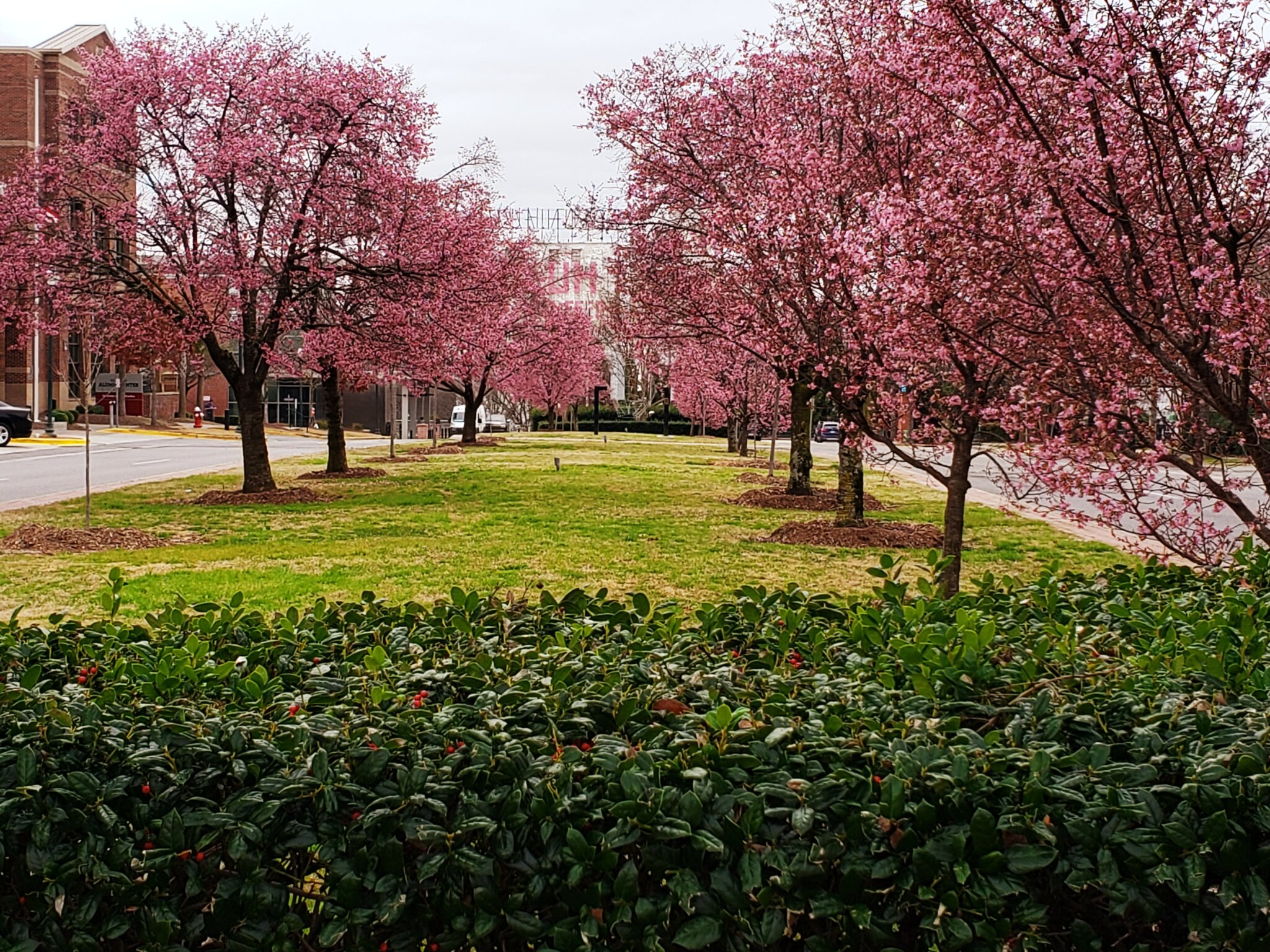 Forestry and Beautification - Public Works