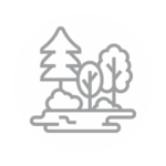 Forest icon