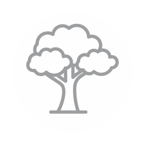 Tree icon