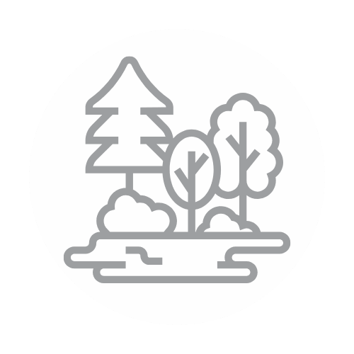 Forest icon
